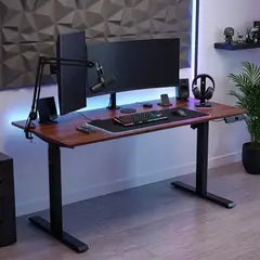 DREIZT - Escritorio Eléctrico Altura Regulable 120x60 Caramelo XDesk Smart