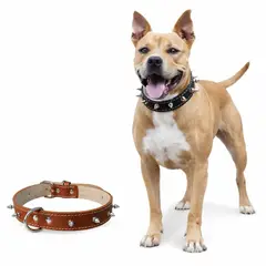 PERRY JHAN - Correa Collar Para Mascotas de Cuero Con Puas - Talla XXL Camel
