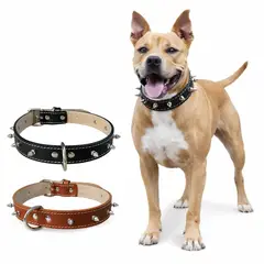 PERRY JHAN - Correa Collar Para Mascotas de Cuero Con Puas - Talla XXL Negro