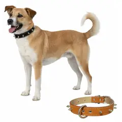 PERRY JHAN - Correa Collar Para Mascotas de Cuero con Puas - Talla XL Camel