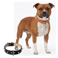PERRY JHAN - Correa Collar Para Mascotas de Cuero Con Puas - Talla XL Negro