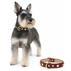 PERRY JHAN - Set de 2 Correa Collar Para Mascotas de Cuero - Talla L