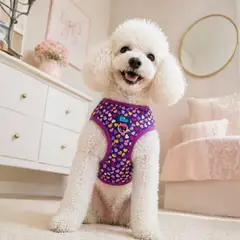 WOMPET - Sunny Pechera Para Mascotas - Talla M