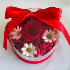 GENERICO - Rosa Eterna Roja en Box Acrílico Regalo Día de la Madre