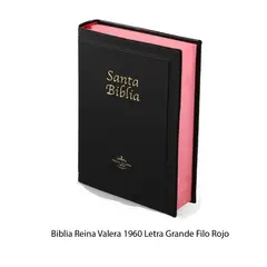 GENERICO - Biblia Reina Valera 1960 Letra Grande