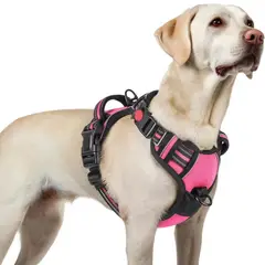 IMPORTADO MC - Arnés Ajustable para Perro Talla Large Antitirones Reflectante con Asa Color Rosa Oscuro