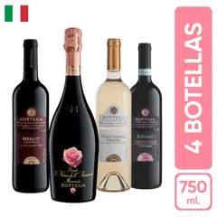 BOTTEGA - Pack Vinos de Italia x4 botellas