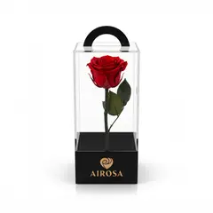 AIROSA - Rosas Preservadas con tallo 30 cm caja de acetato