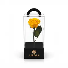 AIROSA - Rosas Preservadas con tallo 30 cm caja de acetato