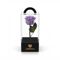 AIROSA - Rosas Preservadas con tallo 30 cm caja de acetato