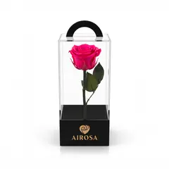 AIROSA - Rosas Preservadas con tallo 30 cm caja de acetato