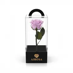 AIROSA - Rosas Preservadas con tallo 30 cm caja de acetato