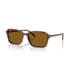 RAY BAN - Lentes de sol Ray-Ban Raimond Fantasía Marrón TransparenteB-15 Marrón 58 mm RB2231 141833 58-18