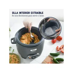 OSTER - Arrocera Multifuncional CKSTRC15DFSKE-053 15 Tazas Gris