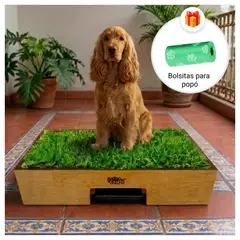 GENERICO - Sanitario de Pasto Natural con Drenaje para Perros - Talla L