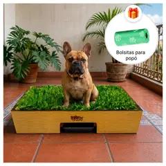 GENERICO - Sanitario de Pasto Natural con Drenaje para Perros - Talla M