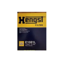 GENERICO - Filtro de Aire Hengst E1081L para BMW X3,X4