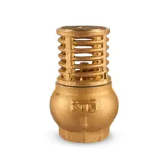 CIM - Válvula Check Canastilla 150 lb de Bronce NPT 1''
