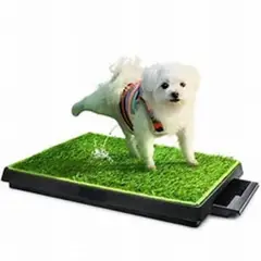 GENERICO - BAÑO ECOLOGICO PORTATIL PARA MASCOTAS 63 X 50 X 6 CM