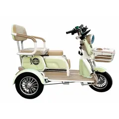 Box Bike - Trimoto Box Convertible Verde