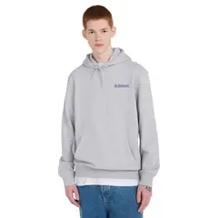 ELEMENT - SWEATER SCIERRE SWAMPS PO ELYSF00328-SGBH