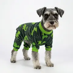 GENERICO - ENTERIZO PIJAMA PARA PERRO DISEÑO DINOSAURIO VERDE ROPA ABRIGADORA MASCOTA PERRO O GATO TALLA XXL