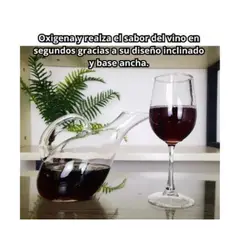 GENERICO - Decantador de Vino PREMIUN