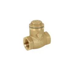 CIMBERIO - VALVULA CHECK SWING CNEOPRENE 12 NW CIM80A 11039226 CIM VALVE