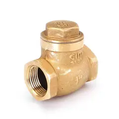 CIMBERIO - VALVULA CHECK SWING CNEOPRENE 1 NW CIM80A 11039225 CIM VALVE