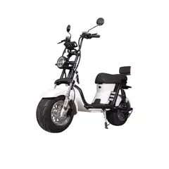 GREEN RIDER - Moto Eléctrica Chopper Max