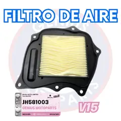 BAJAJ - FILTRO DE AIRE V15