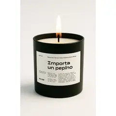 ARDE - VELA ME IMPORTA UN PEPINO 300ML