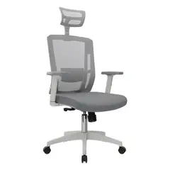 OFIDEAS - Silla Ergonómica Delphi II Presidente Gris Premium Nylon Eg