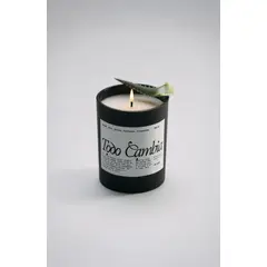 ARDE - VELA TODO CAMBIA 120ML