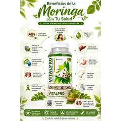 SIFRAH SHOP - VITALPRO - SEMILLAS DE MORINGA CON HOJA DE GUANABANA - POTENTE ANTIOXIDANTE 100 CAP.