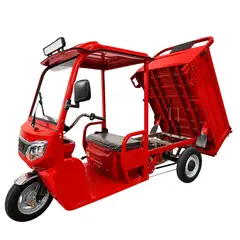 MOVEEN - TRIMOTO CARGUERA ELÉCTRICA MODELO MOTOR 2000W