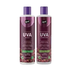 HAIRDO - Pack Shampoo + Acondicionador Uva Cabellos Teñidos 500ML - Eleve