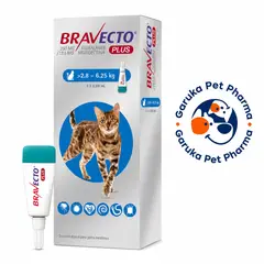 BRAVECTO - Plus Antiparasitario Antipulgas Gatos 2.8-6.25 kg