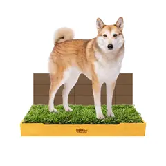 GENERICO - Sanitario de Pasto Natural para Perros - Talla L + Pared Antisalpicaduras