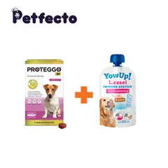 PROTEGGO - ANTIPULGAS PARA PERROS - 3 MESES (>4,5 – 10 kg.) + 1 YOGURT PROBIÓTICO