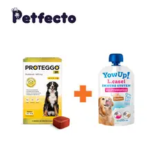 PROTEGGO - ANTIPULGAS PARA PERROS - 3 MESES (>40 – 56 kg.) + 1 YOGURT PROBIÓTICO