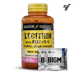 Mason Natural - Lecithin With Kelpb6 Plus Apple Cider Vinegar 100 Softg