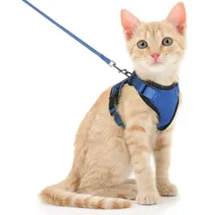 IMPORTADO MC - Arnés para Gato Ajustable a Prueba de escape con Correa Talla XS Color Azul Marino