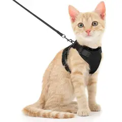 IMPORTADO MC - Arnés para Gato Ajustable a Prueba de escape con Correa Talla XS Color Negro