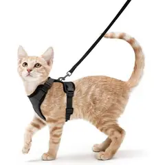 IMPORTADO MC - Arnés para Gato Ajustable a Prueba de escape con Correa Talla Small Color Negro