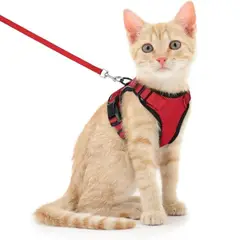 IMPORTADO MC - Arnés para Gato Ajustable a Prueba de escape con Correa Talla XS Color Rojo