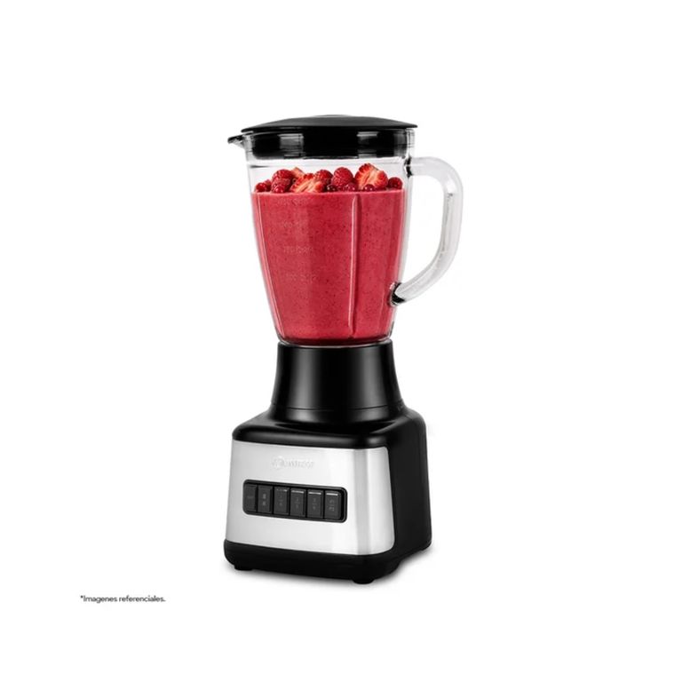 Licuadora LM-101V 1.5 Litros Acero Inoxidable
