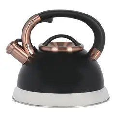 MR COFFEE - Tetera Mr. Coffee Flintshire 2.1L Acero Inoxidable Negra