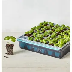GENERICO - Bandeja Germinadora Burpee SuperSeed 36 Celdas Reutilizable
