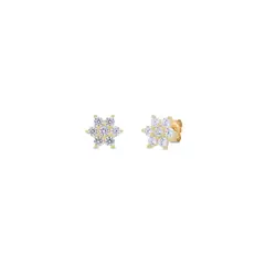 GENERICO - ARETE CZ ROSETA SM GOLD - CLAUDIA NAVARRO